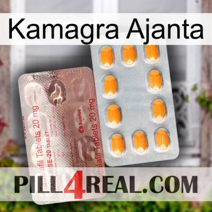 Kamagra Ajanta new13